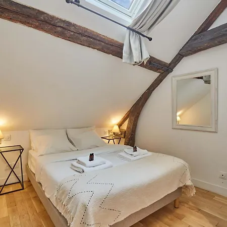 Charming Center Of With Terrace Apartment Paris